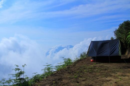 Munnar Holidays-3